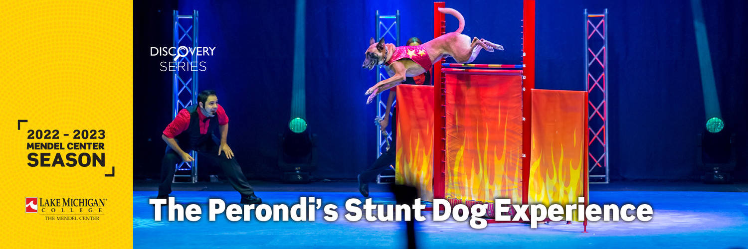 The Perondi's Stunt Dog Experience