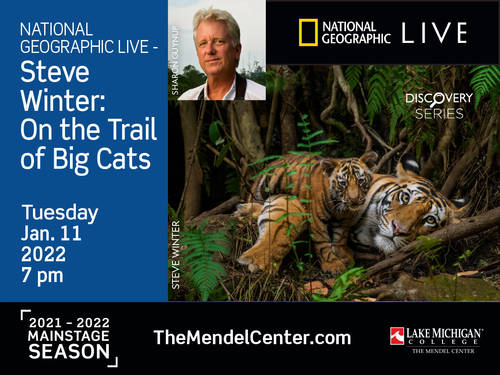 On the Trail of Big Cats with Steve Winter